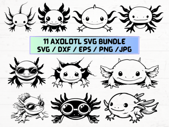 Axolotl Silhouette: A Designer’s Real-World Embroidery Review