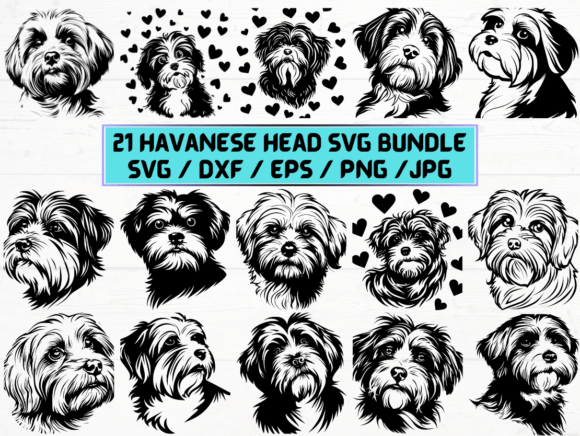 Havanese Head Graphics for Crafts