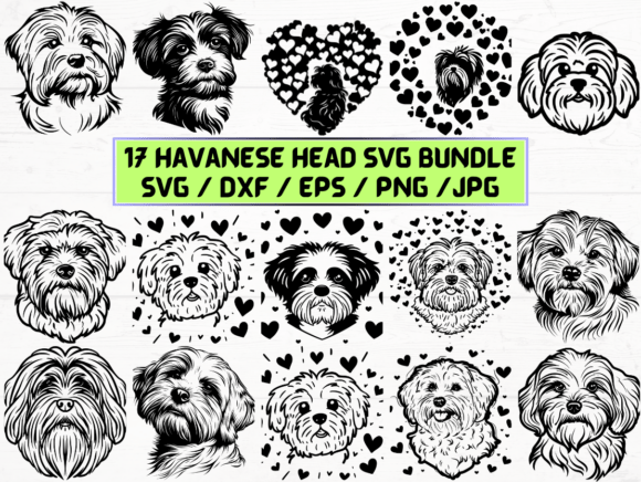 Havanese Head SVG