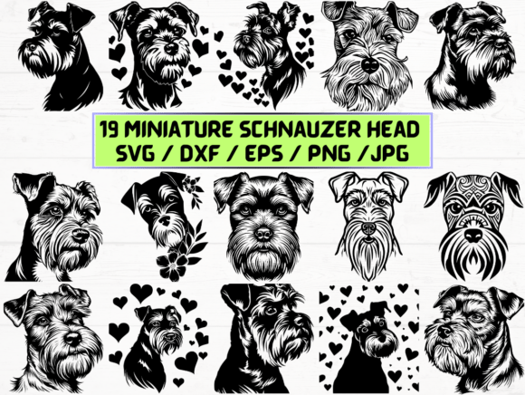 Miniature Schnauzer Head SVG File: A Graphic Asset for Crafts and Branding