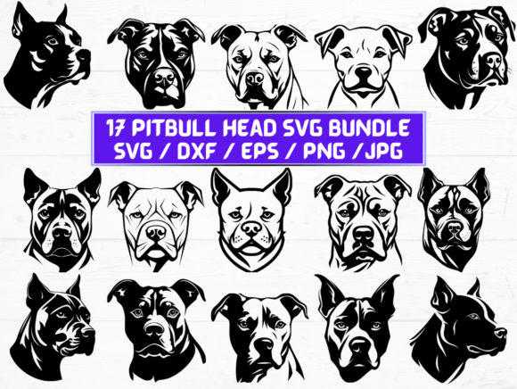 Pitbull Head Graphic for Crafts and Branding