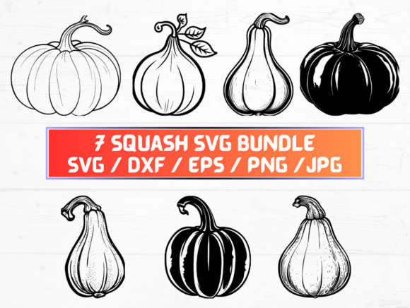Squash Clipart