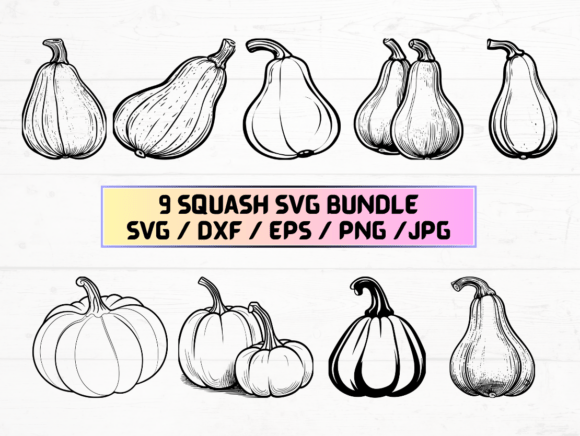 Squash Laser Engraving Cut Files for Graphics and Crafts