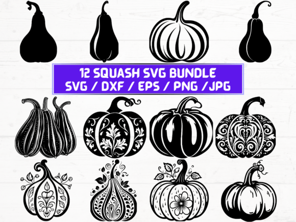 Squash SVG Bundle Graphics for Crafts
