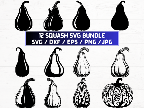 Squash SVG File: A Versatile Graphic for Crafts and Digital Selling